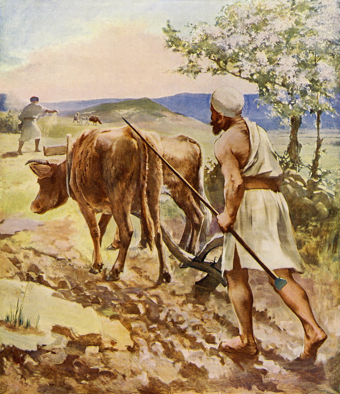 Labrador trabajando con un arado tirado por bueyes de Unbekannter Künstler