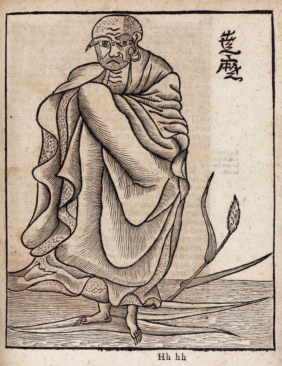 Retrato de Bodhidharma de Unbekannt