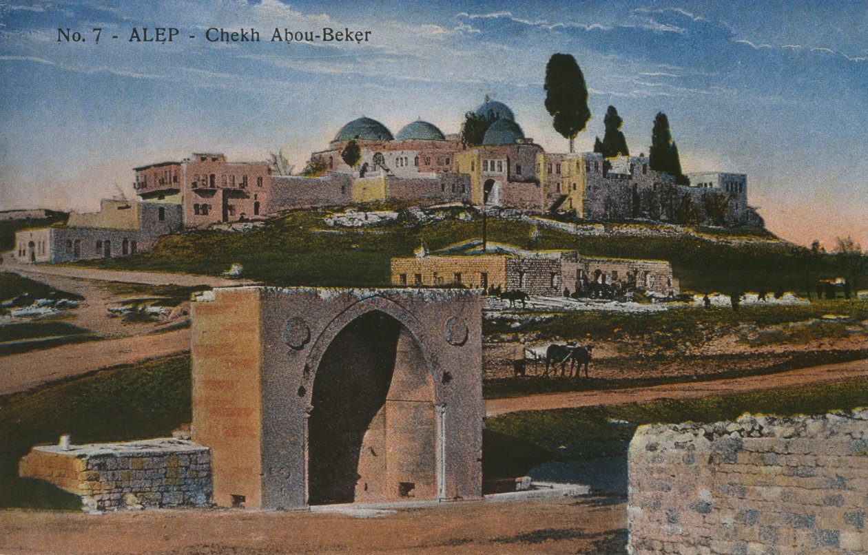 Postal que representa la Mezquita Shaykh Abu Bakr en Alepo, Siria, c.1920 de Unbekannt