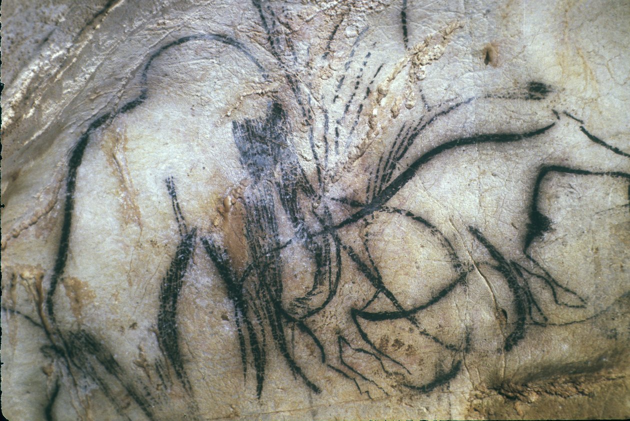 Cueva prehistórica de Pech Merle/Capilla de los mamuts/25,000 años/Cabrerets/Lot/Midi Pirineos/Francia de Unbekannt