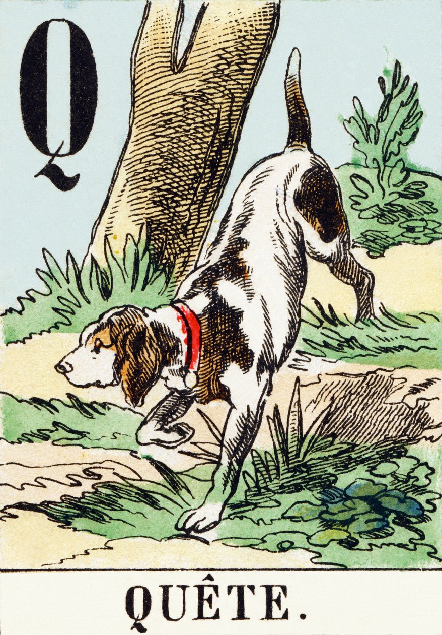 Q: Búsqueda - El Alfabeto de la Caza, c.1890 (grabado) de Unbekannt