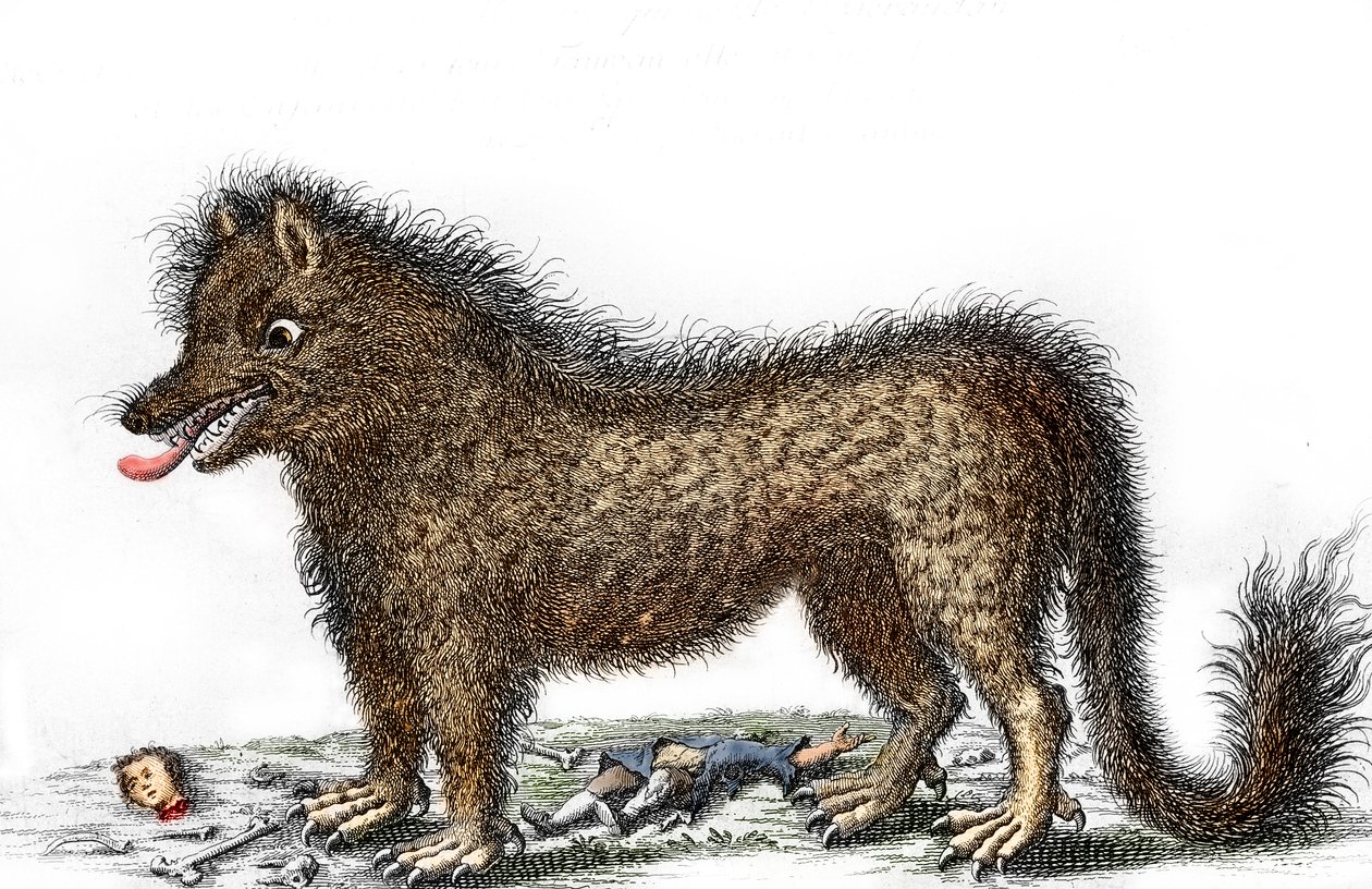 Representación de la bestia del Gévaudan, los huesos de sus víctimas esparcidos alrededor de sus piernas Grabado hacia 1764 (La bestia del Gévaudan en una representación de 1764) Colección particular de Unbekannter Künstler