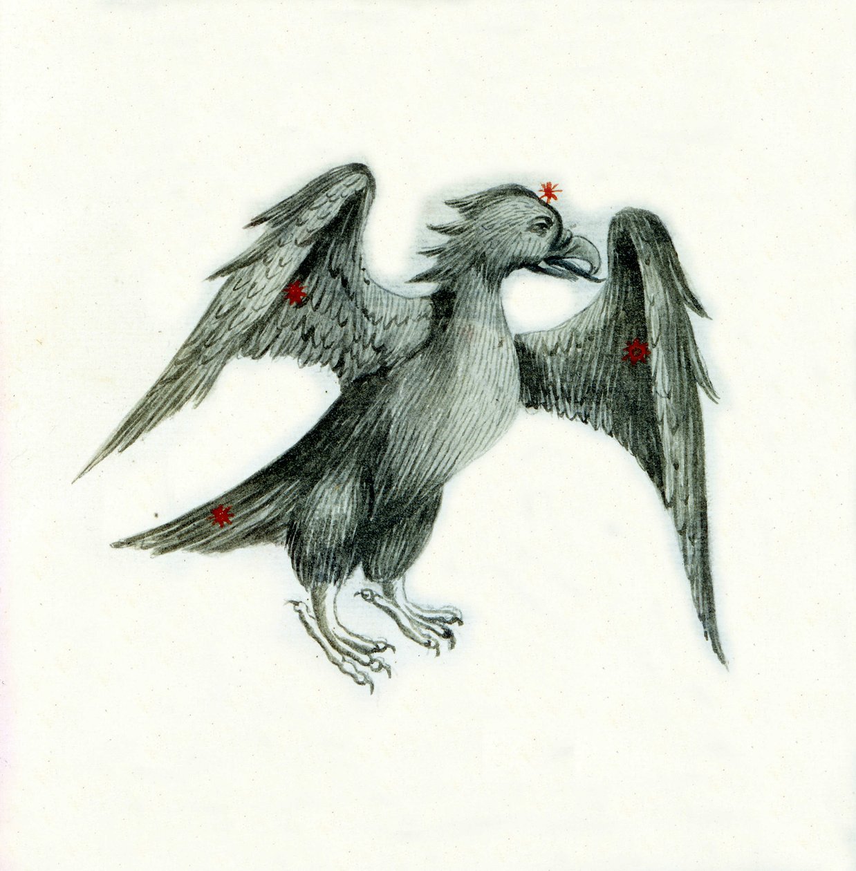 Representación de la constelación del águila Página de un manuscrito del siglo XVIII basado en el manuscrito original "Astronomica" de Biasino da Parma (Blaise de Parma) (1425-1457) que data del siglo XV. de Unbekannter Künstler