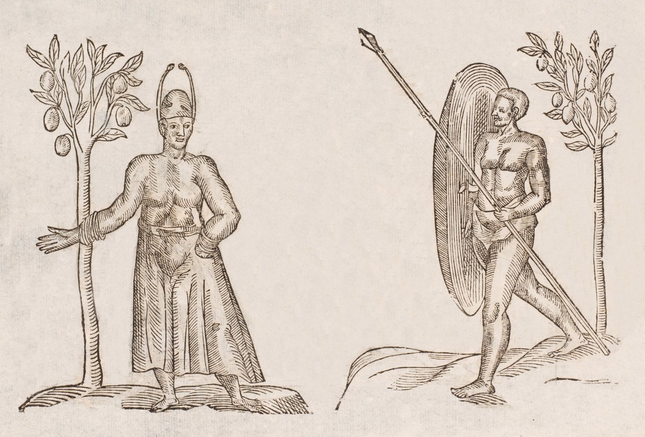 Rex sinus Antongil & Miles sinus Antongil de Unbekannt