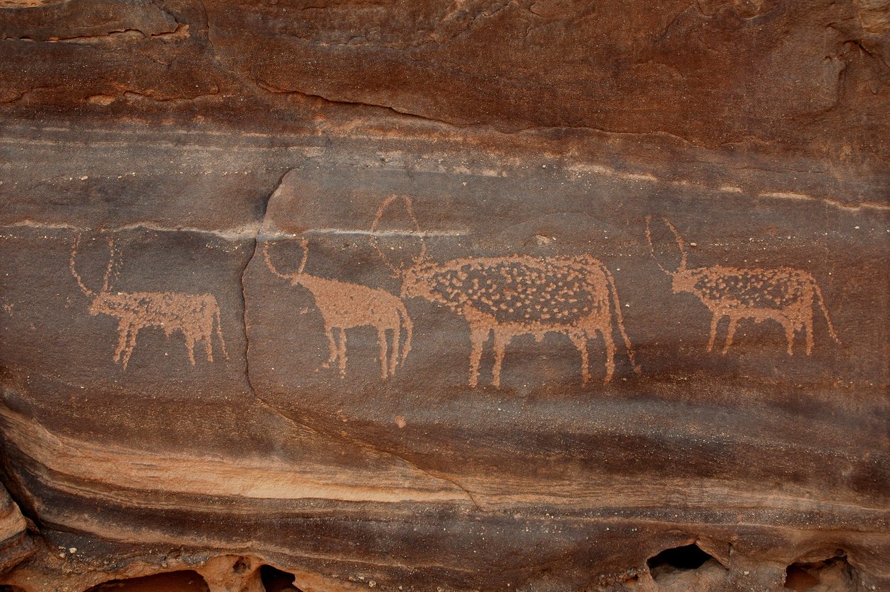 Arte rupestre, Prehistoria: Grabado de cuatro ganado en el macizo de Uweinat, Sudán (Karkur-Talh o Karkur Talh). Periodo de 8000 a 3000 años a.C. Fotografía de Unbekannt