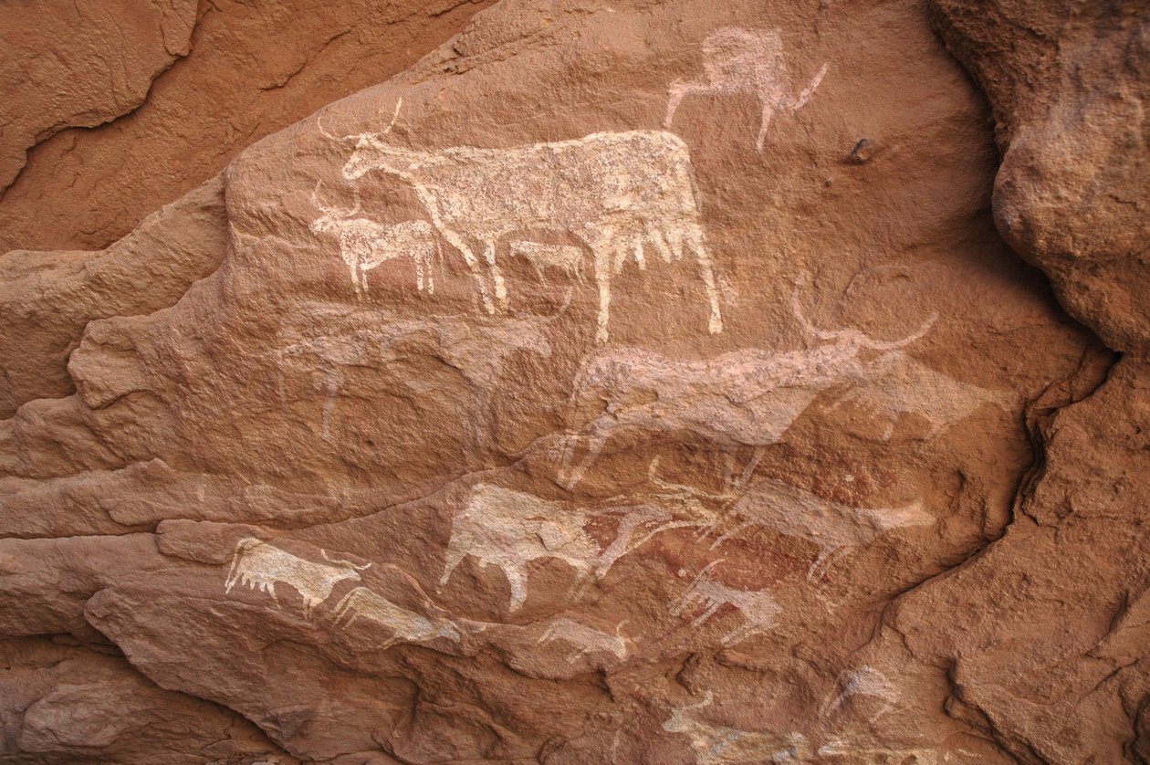 Arte rupestre, Prehistoria: Pintura rupestre de un grupo de ganado en un refugio ornamentado, en el macizo de Uweinat, Sudán (Karkur-Talh o Karkur Talh). Periodo de 8000 a 3000 años a.C. Fotografía de Unbekannt