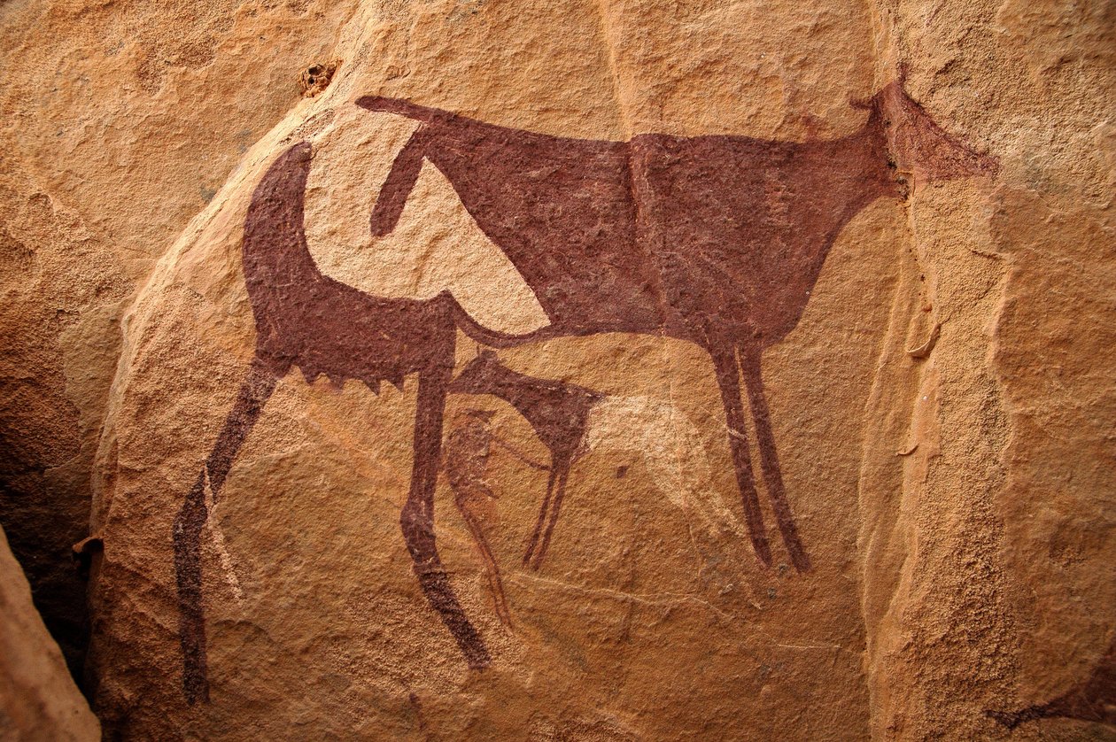 Arte rupestre, Prehistoria: Pintura rupestre de una gran vaca bicolor y su ternero en un refugio ornamentado, en el macizo de Uweinat, Sudán. Período de 8000 a 3000 años a.C. Fotografía de Unbekannt