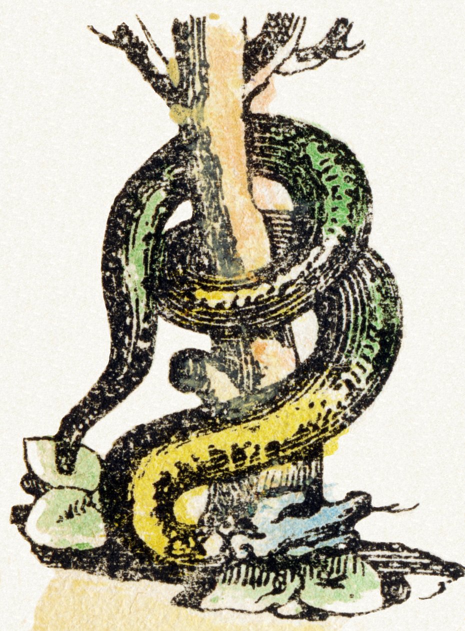 S - Serpiente - Alfabeto de Entretenimiento Infantil c.1890 (litografía) de Unbekannt
