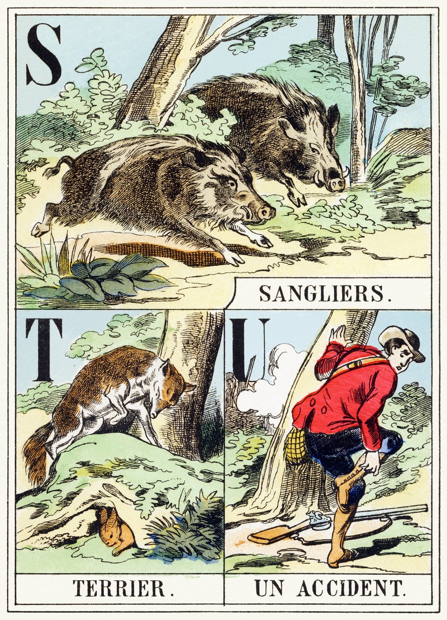 S T U: Jabalí, Terrier, Un accidente - El Alfabeto de la Caza, c.1890 de Unbekannt