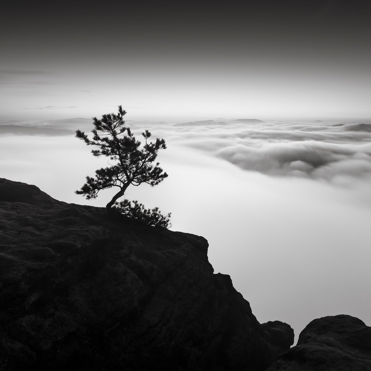 Reino de Suiza sajona, Alemania, 2015 (fotografía en B/N) de Leopold Blonder