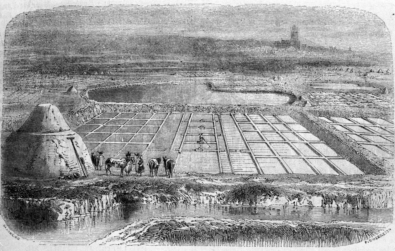 Producción de sal: salinas del sur de Francia. Grabado del siglo XIX de Unbekannt