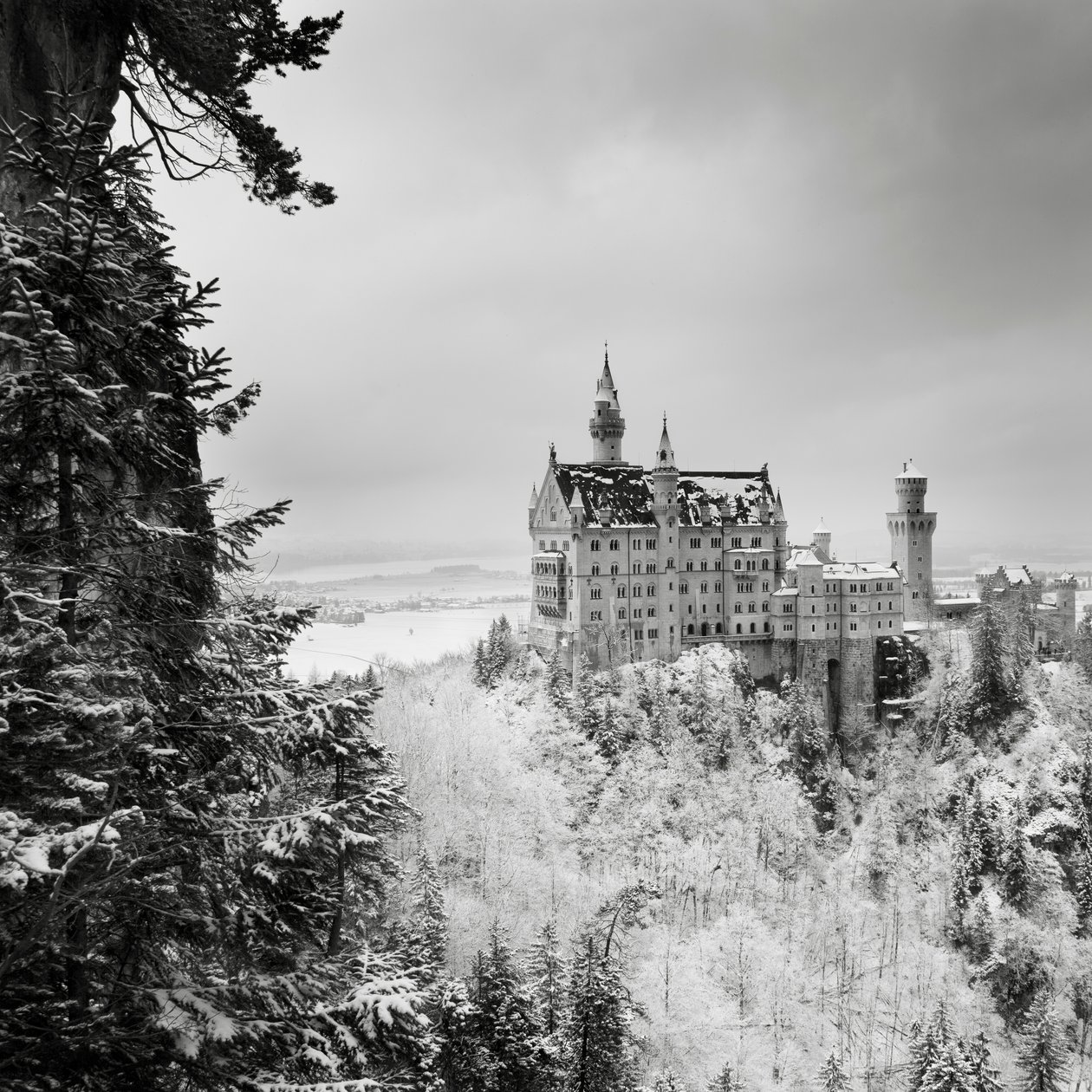 Castillo de Neuschwanstein, Füssen, Alemania, 2013 (fotografía en B/N) de Leopold Blonder