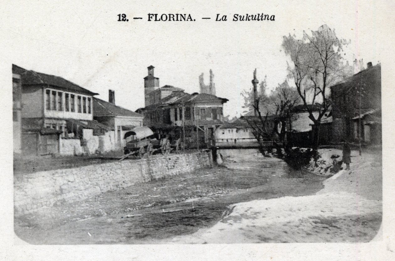 Serbia, Florina (actual Grecia): vista de la Sukulina de William M. Timlin