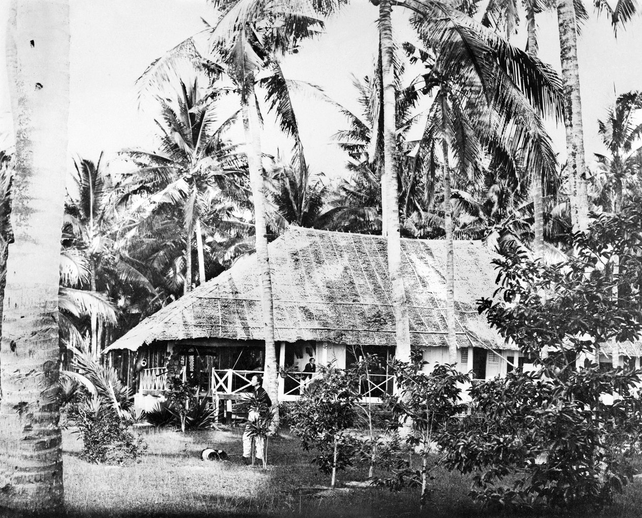 Singapur: Un bungalow privado rodeado de palmeras. Singapur, c1875 de Unbekannt