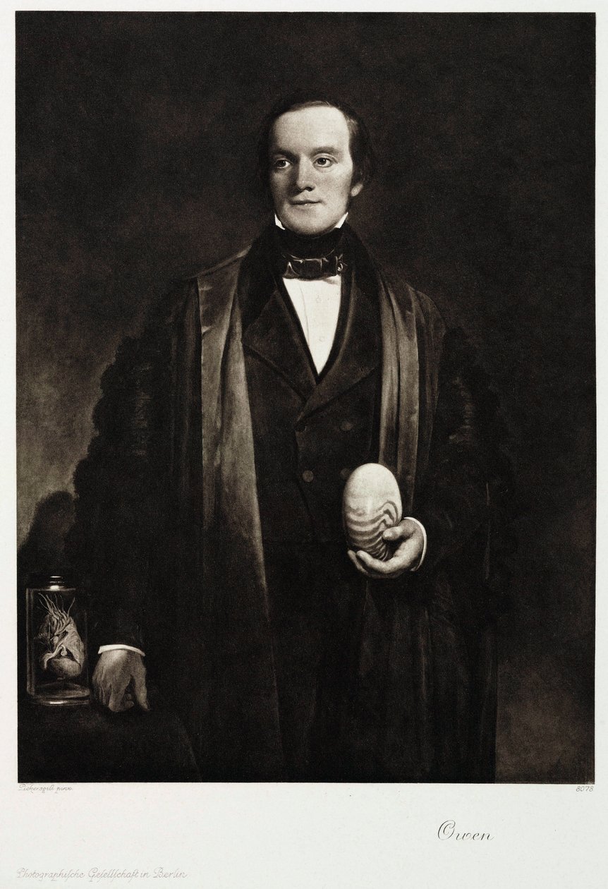 Sir Richard Owen, naturalista y paleontólogo inglés, c.1845 de Unbekannt