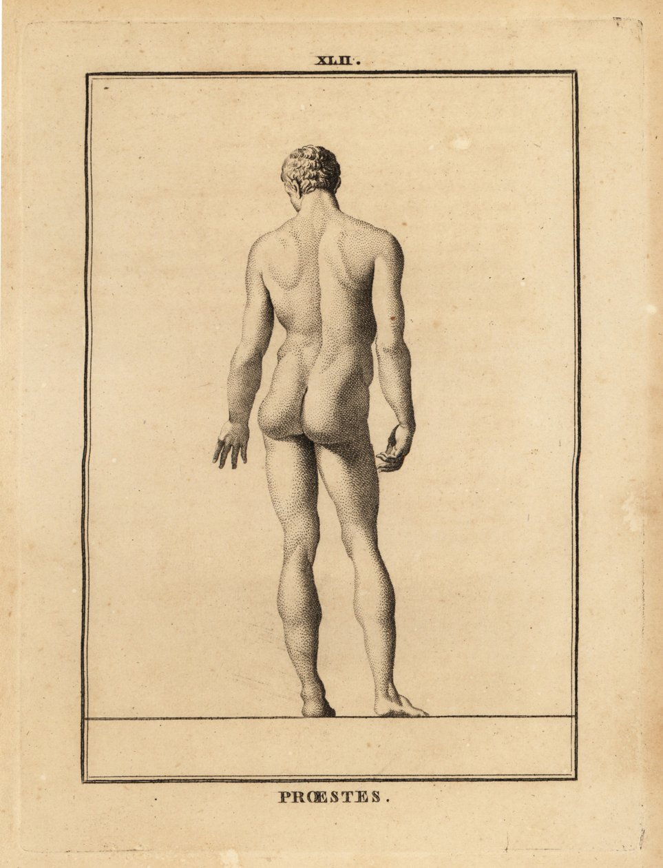 Estatua de Orestes, desnudo, hijo de Agamenón en la mitología griega de Unbekannt