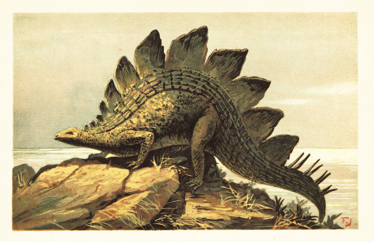 Estegosaurio, género extinto de dinosaurio herbívoro. 1908 (litografía) de Unbekannter Künstler