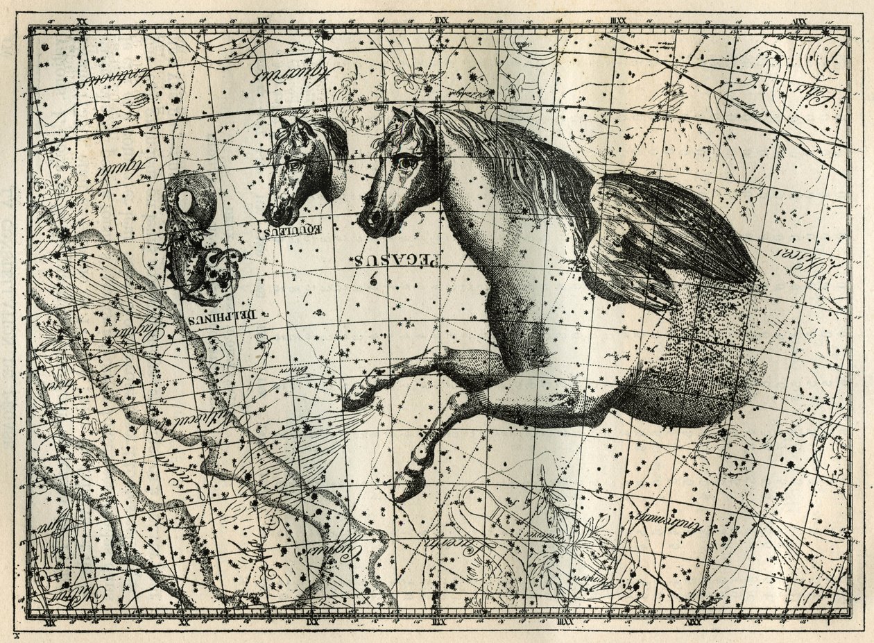 La constelación de Pegaso, dibujada como la mitad anterior de un caballo con un par de alas, el Pequeño Caballo, una cabeza de caballo y el Delfín. Grabado de 