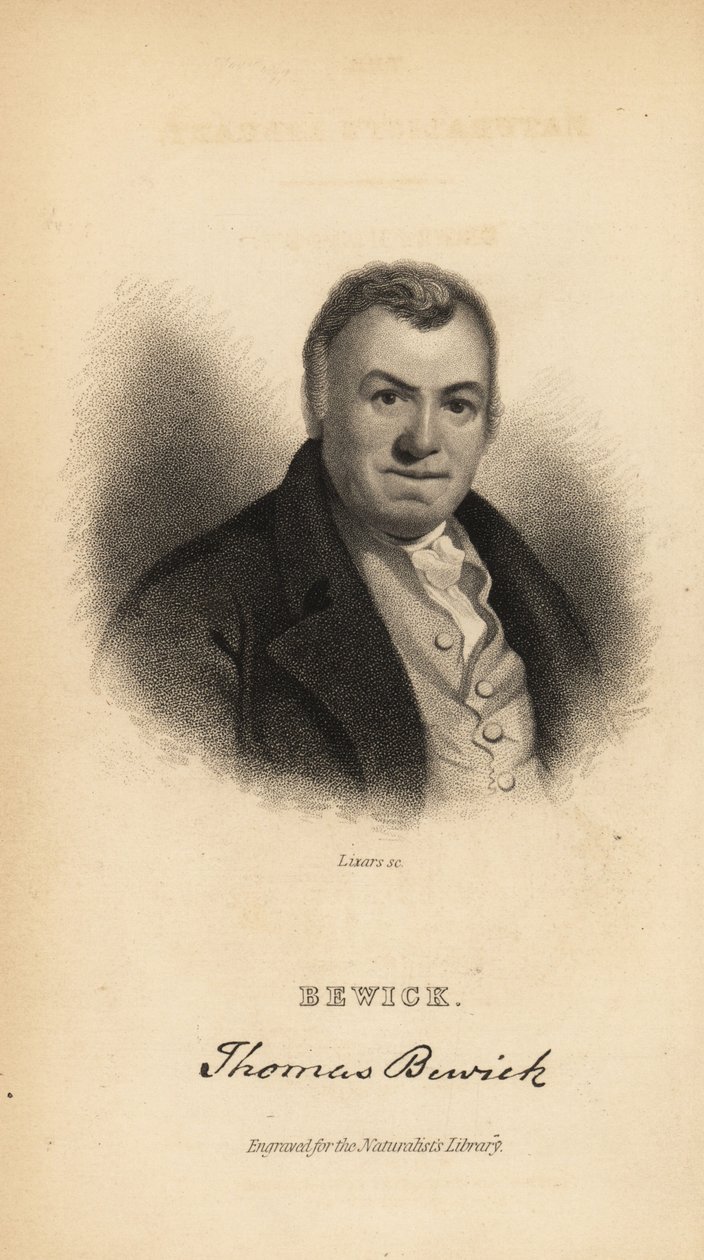 Thomas Bewick, grabador inglés y autor de historia natural de Unbekannt