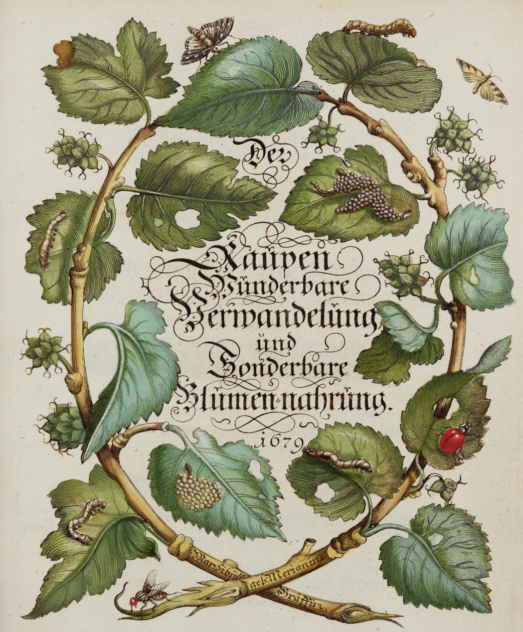 Página de título del libro de historia natural de Alec Hunter