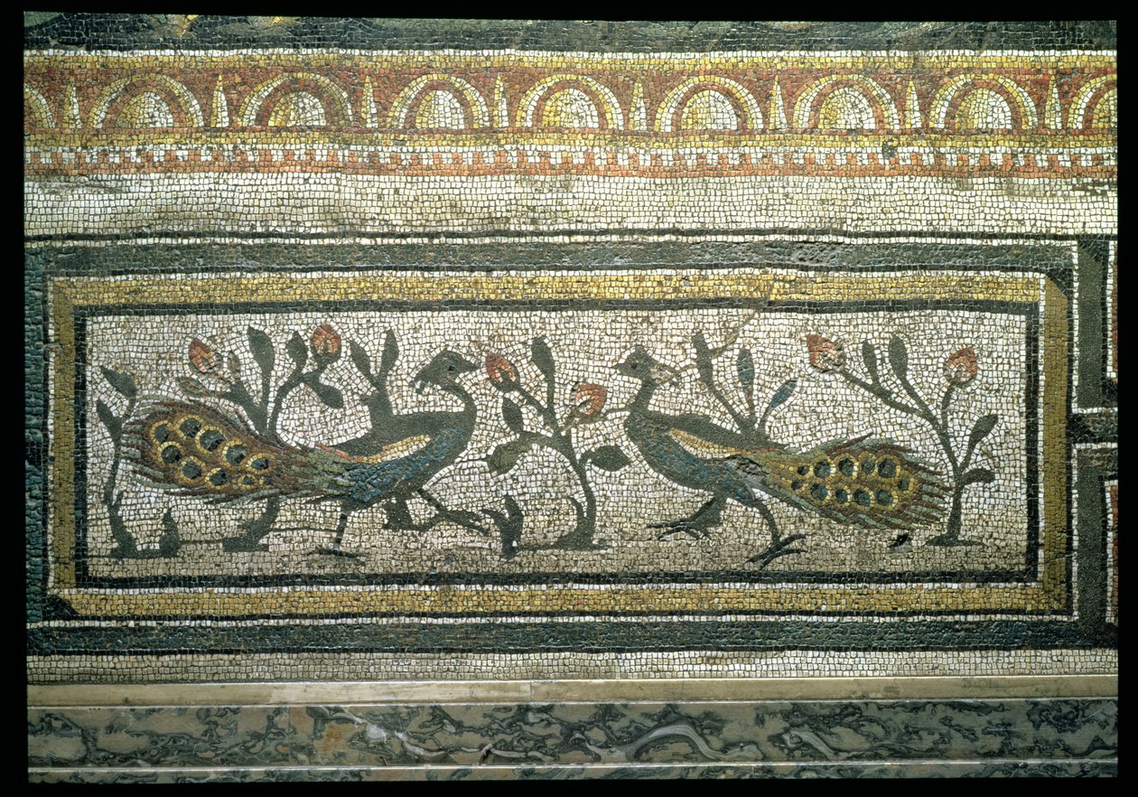 Dos pavos reales, detalle decorativo de un borde de mosaico que representa las estaciones y escenas de caza, de la Villa Constantiniana en Daphne, romana, c.325-330 d.C. (mármol, caliza y mosaico de vidrio) (detalle) de Unbekannt