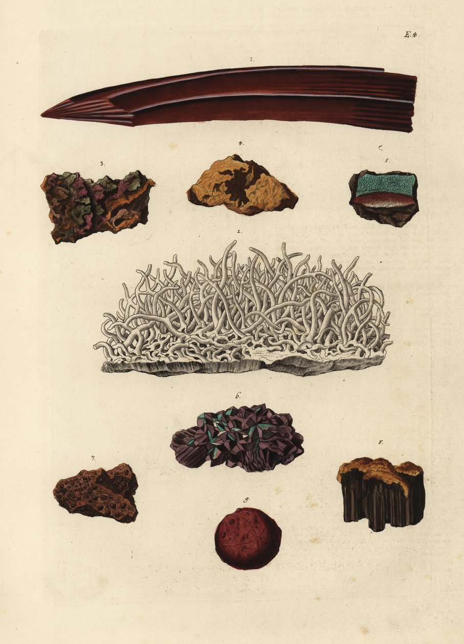 Variedades de mineral de hierro. Grabado en cobre coloreado a mano según una ilustración de Georg Wolfgang Knorr