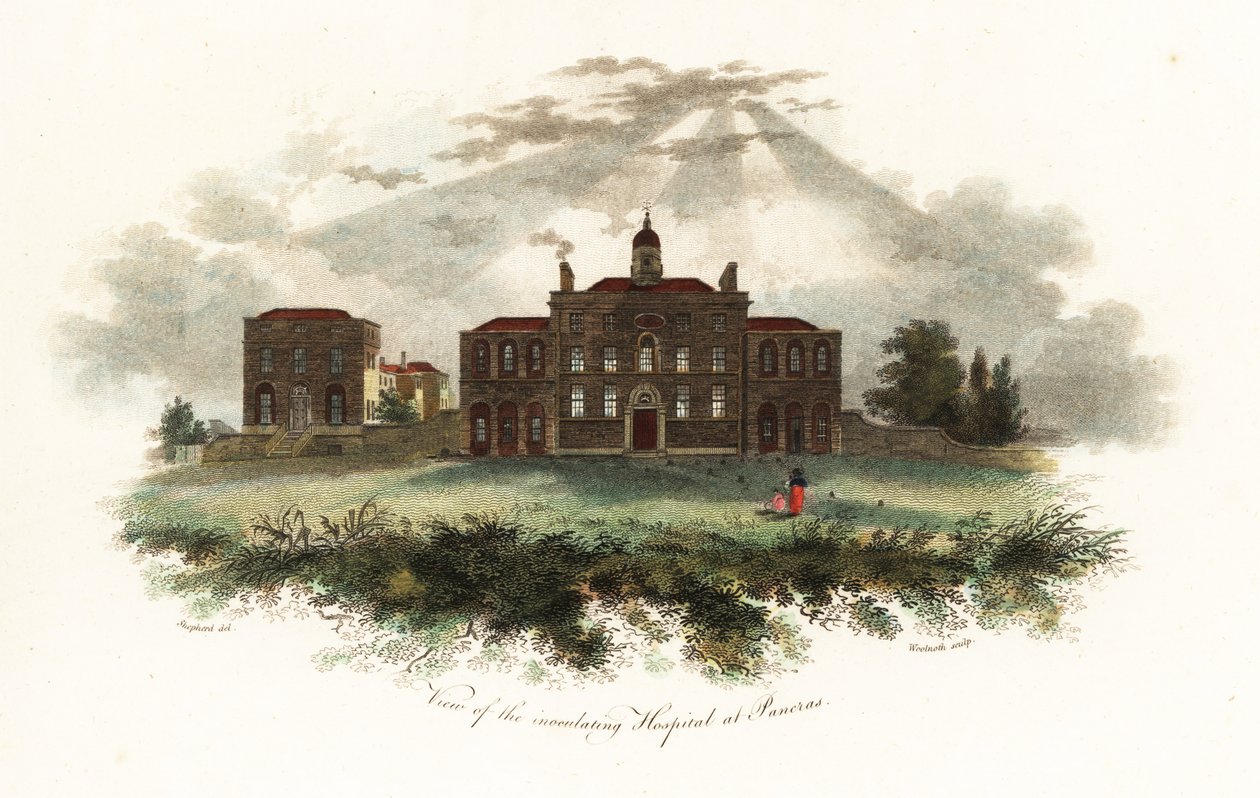 Vista del hospital de inoculación de Woodville en Pancras, Londres de Unbekannter Künstler