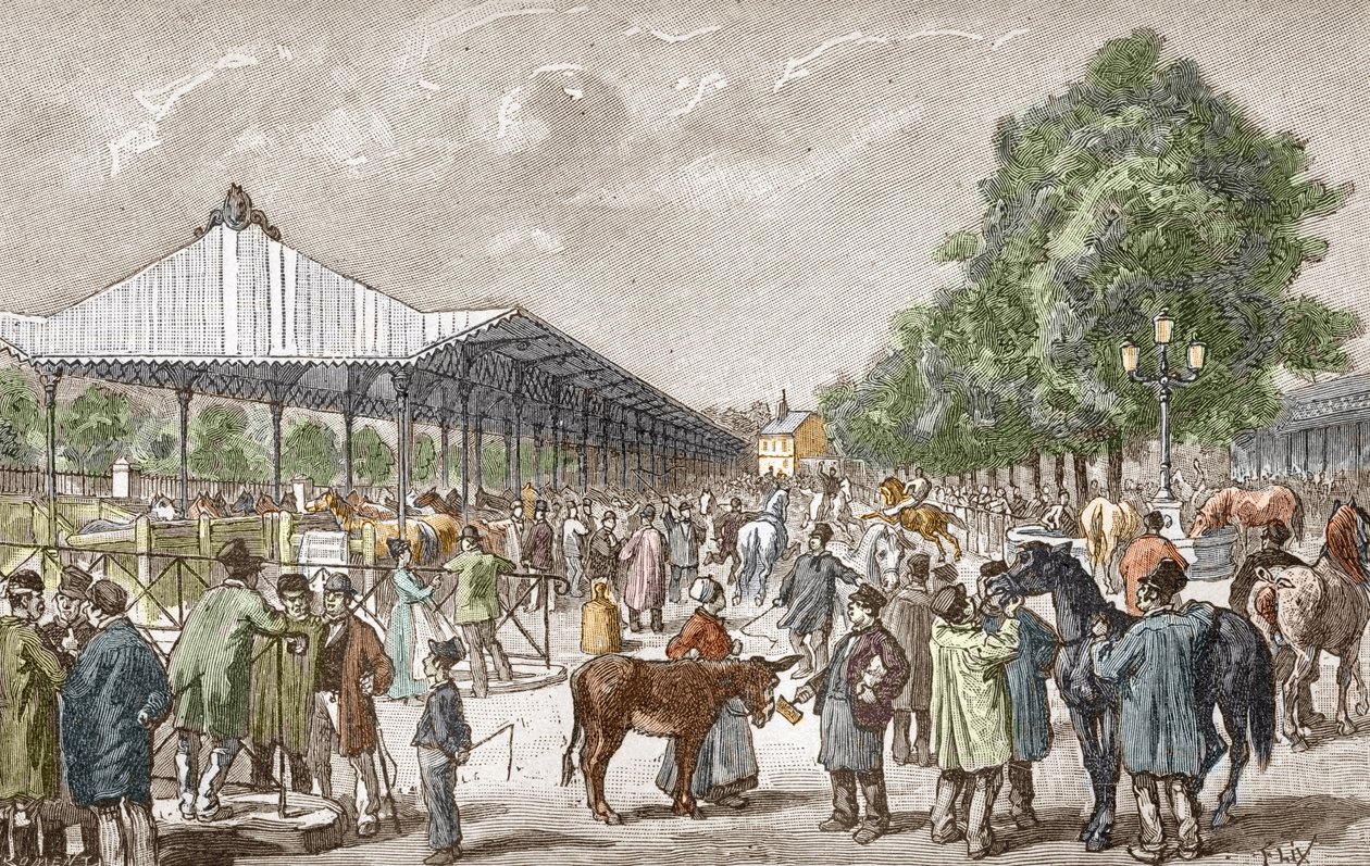 Vista del mercado de caballos en el distrito 5 de París Grabado de "Les stages d
