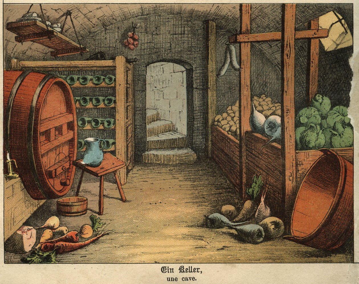 Vista del interior de una bodega utilizada para conservar tanto vino como verduras, embutidos. Placa de un diccionario infantil franco-alemán de Unbekannt