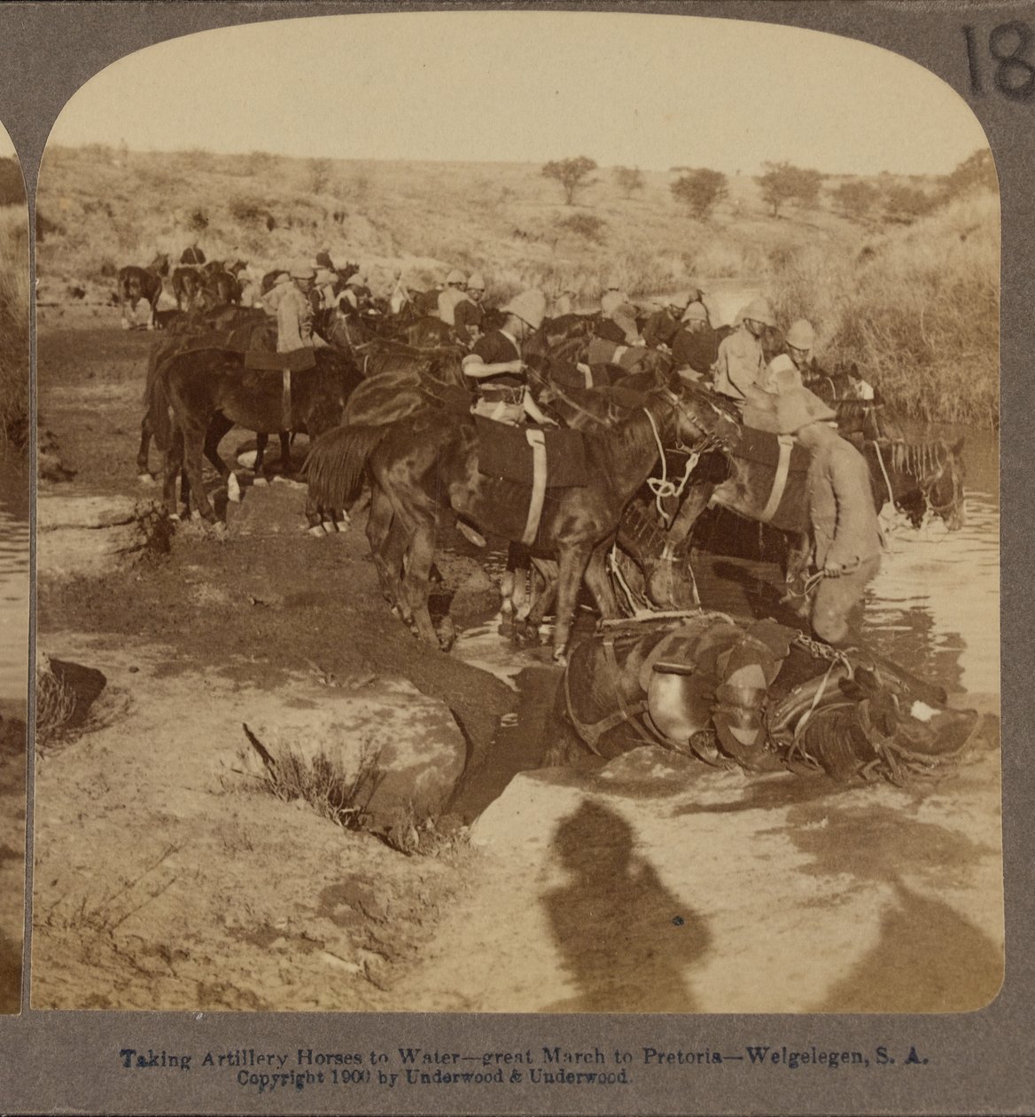 Riego de caballos de artillería, Welgelegen, Sudáfrica de Underwood and Underwood