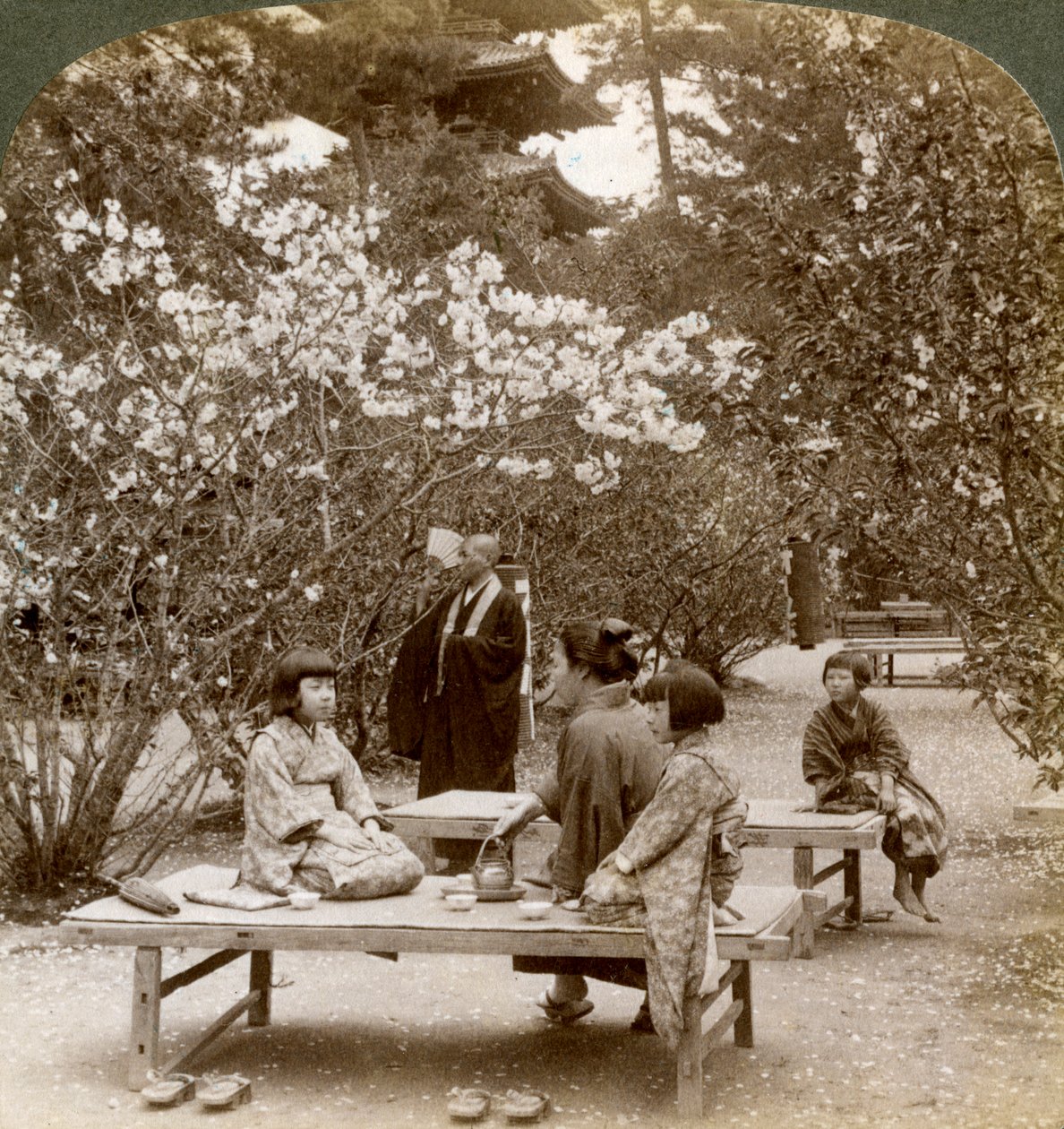 Una familia disfrutando de un picnic bajo los cerezos en flor, Omuro Gosho, Kioto, Japón, 1904 de Underwood and Underwood
