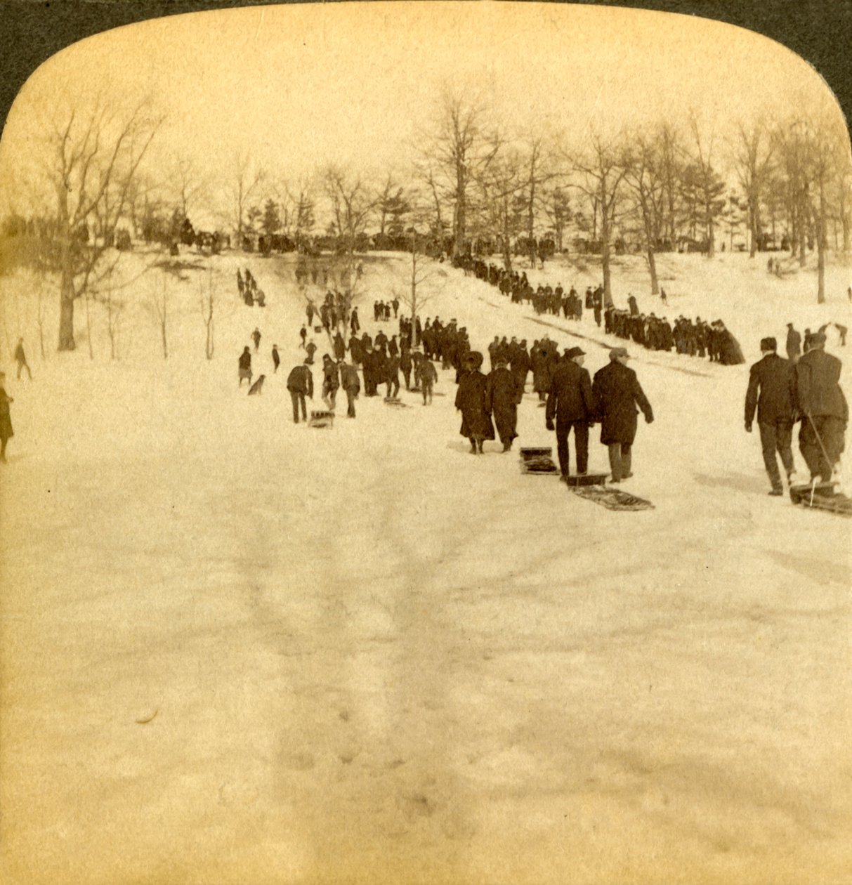 Deportes de invierno canadienses - tobogán, 1905 de Underwood and Underwood