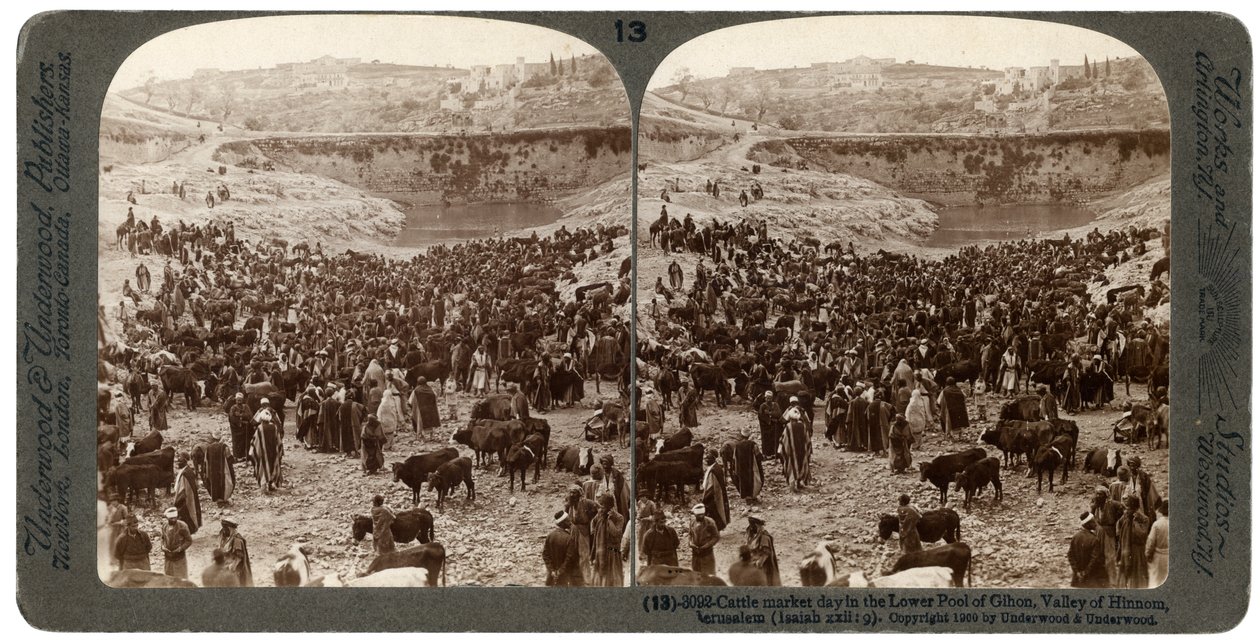 Día de mercado de ganado, en la piscina inferior de Gihon, Valle de Hinnom, Jerusalén, Palestina, 1900 de Underwood and Underwood