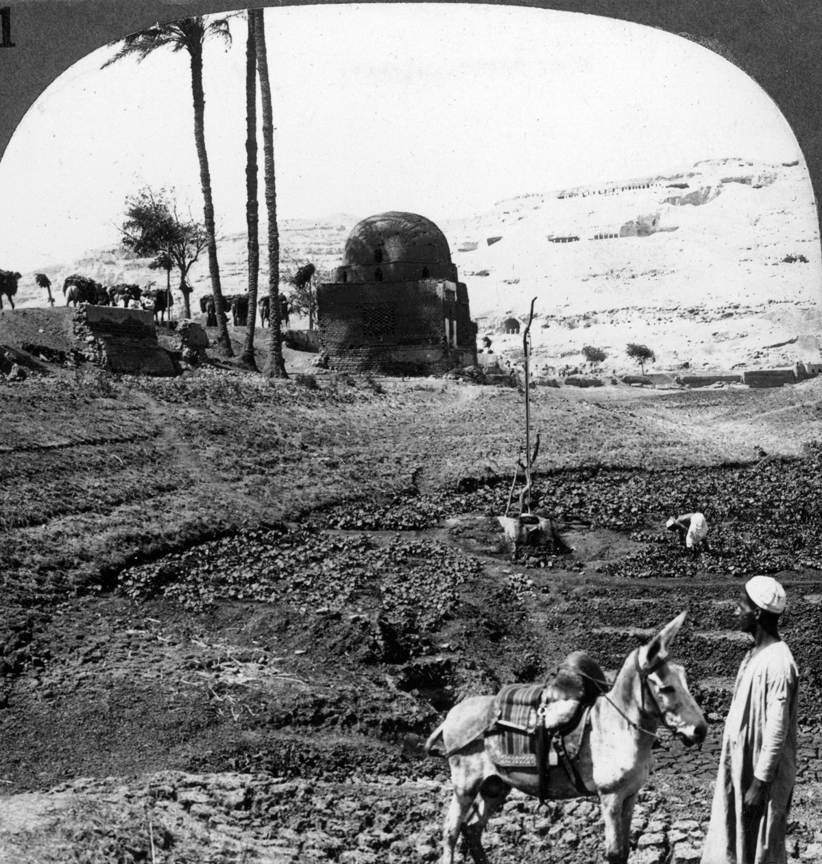 Tumbas en el acantilado de los señores de Asyut, Egipto de Underwood and Underwood