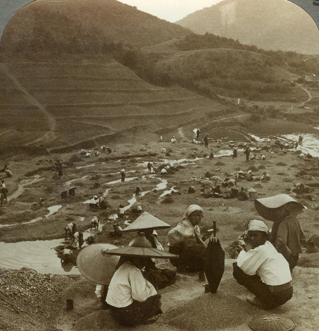 Dragado de un lecho de río en busca de rubíes, Mogok, Birmania, c. 1900s de Underwood and Underwood