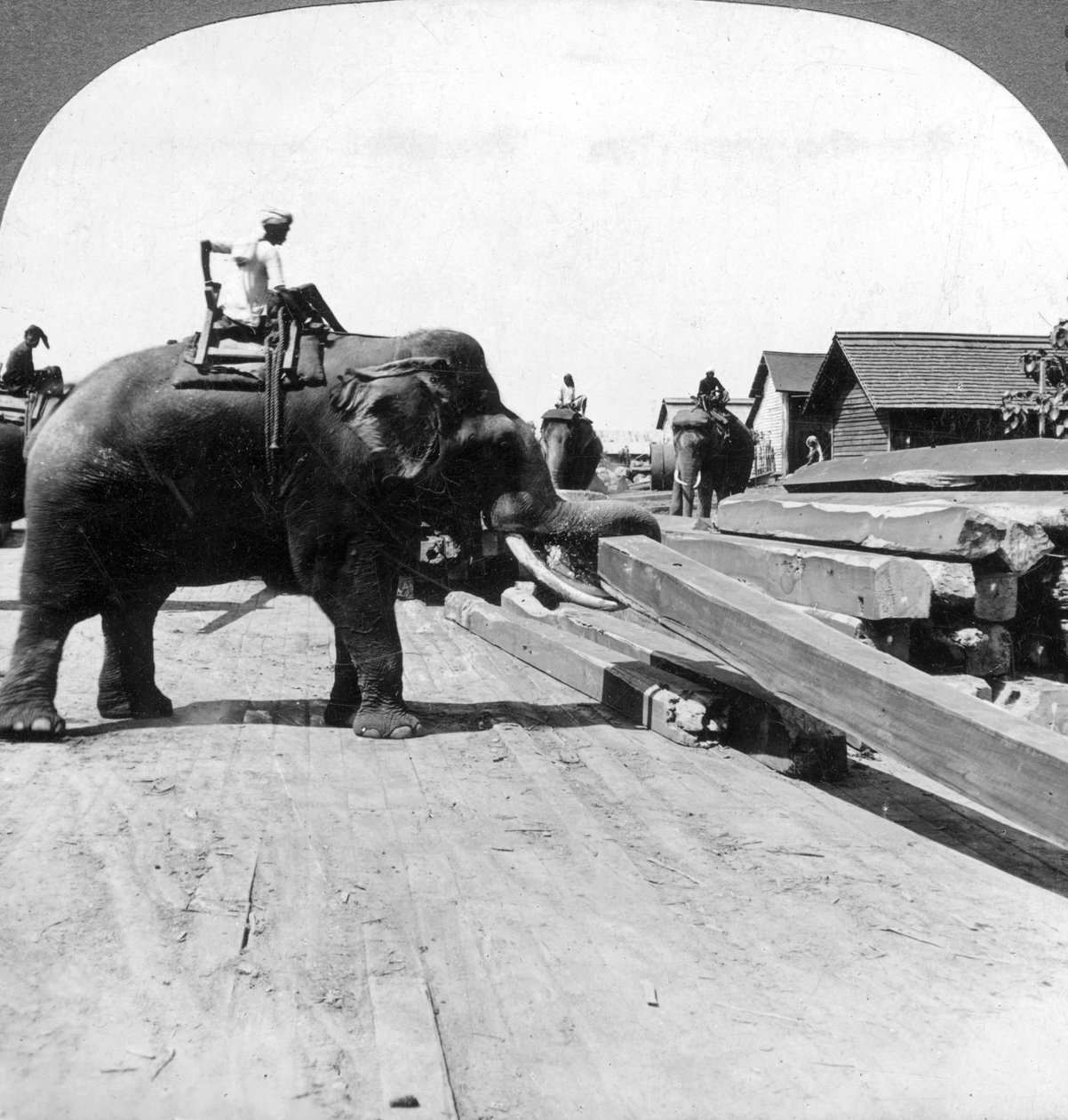 Elefantes moviendo madera, Rangún, Birmania Myanmar, 1900s de Underwood and Underwood