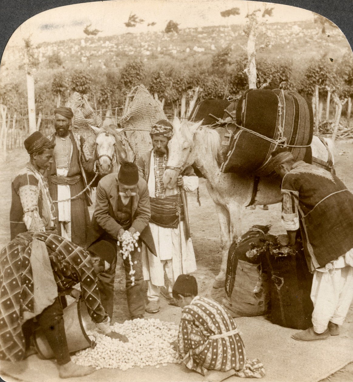 Expertos comprando capullos de seda, para exportar a Francia, Antioquía, Siria, 1900s de Underwood and Underwood