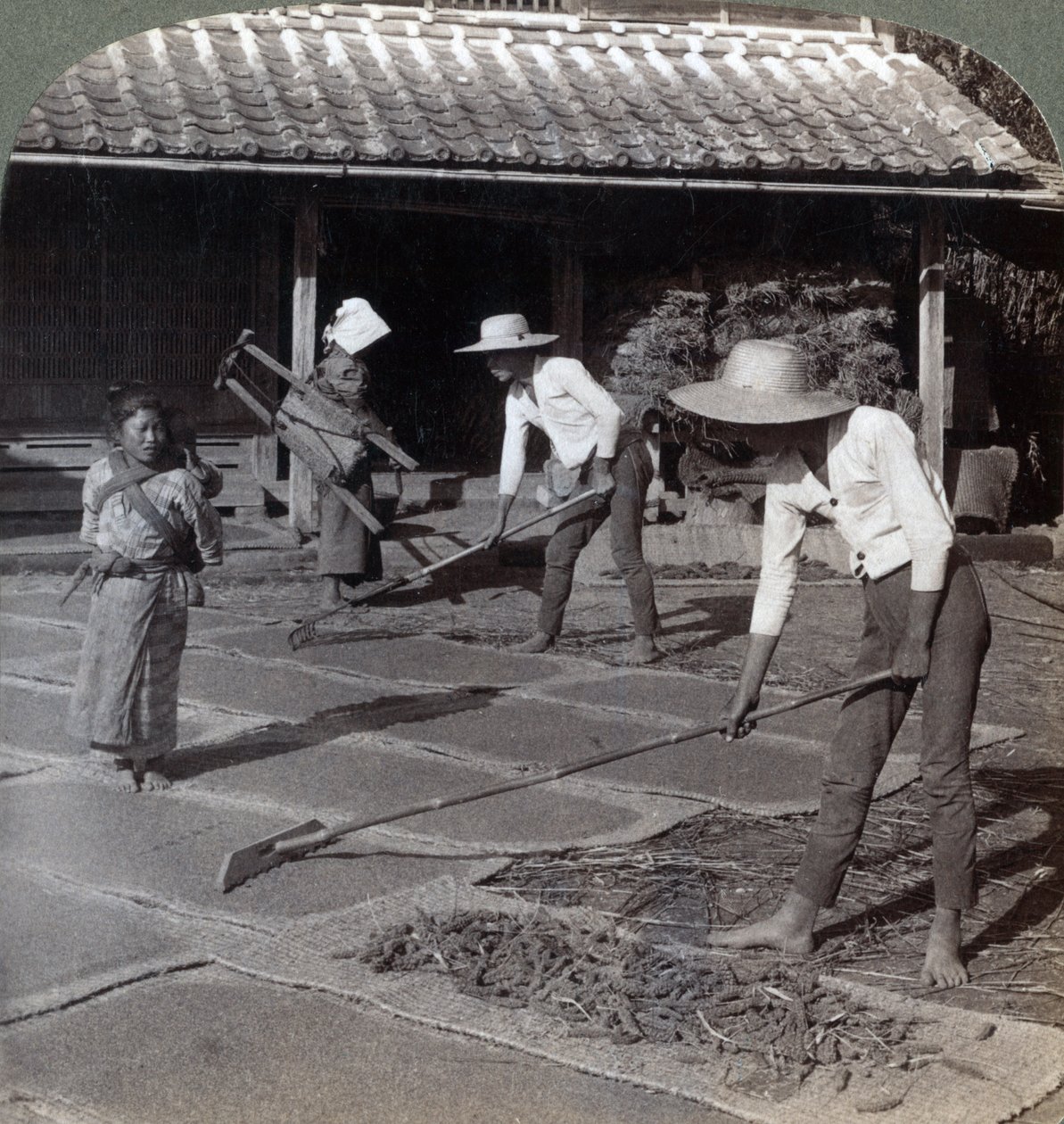 Agricultores con rastrillos de bambú esparciendo mijo en esteras para secar en invierno, cerca de Yokohama, Japón, 1904 de Underwood and Underwood