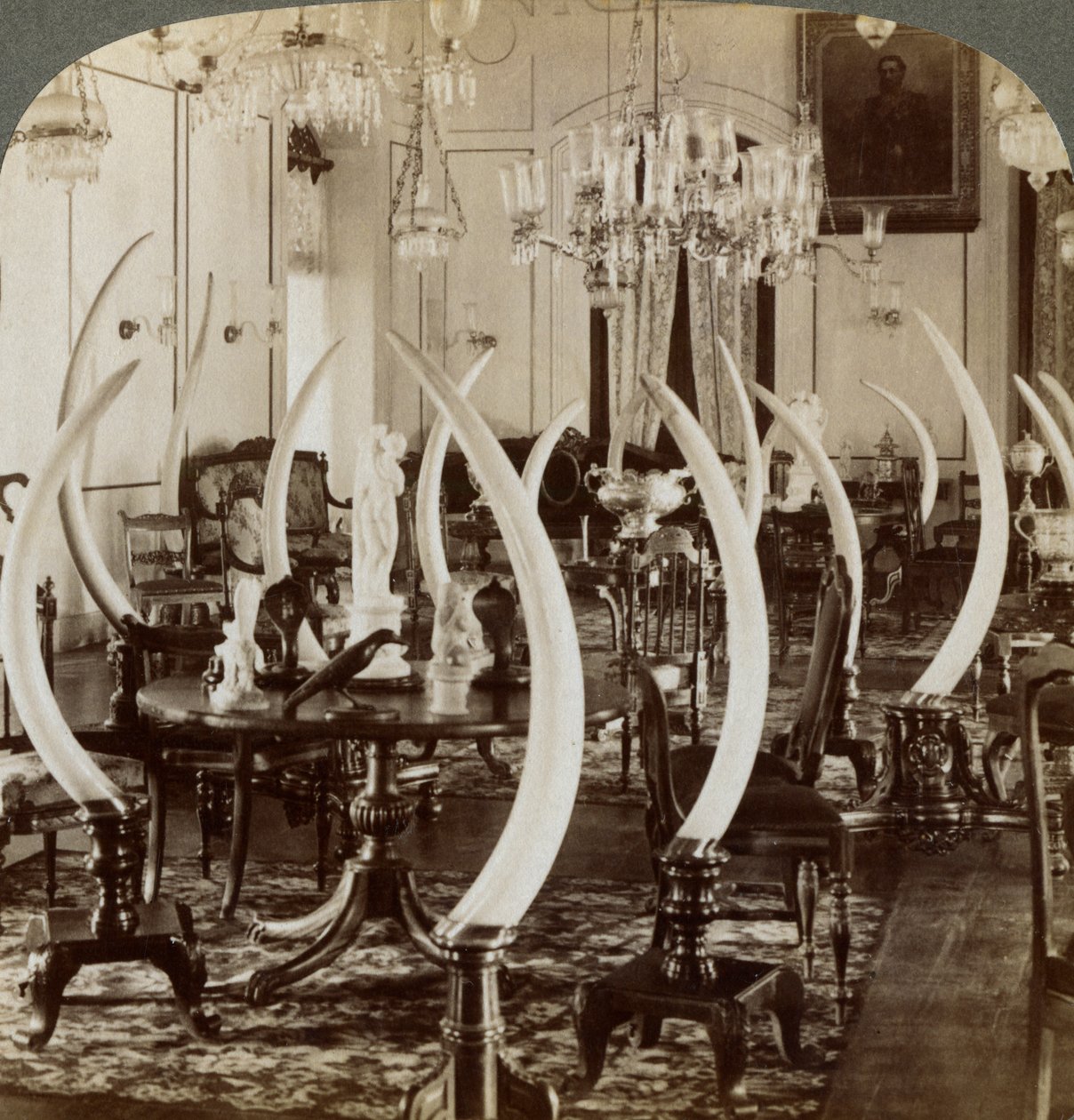 Sala de colmillos, en la casa de Lady de Soysa, Bambalapitiya, Colombo, Ceilán, 1903 de Underwood and Underwood