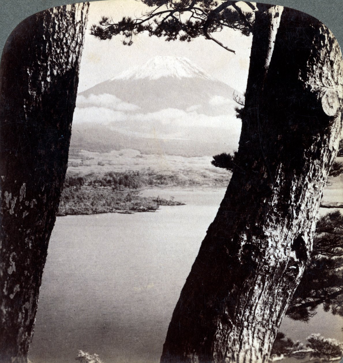Monte Fuji, visto desde el noroeste, a través de pinos en el lago Motosu, Japón, 1904 de Underwood and Underwood