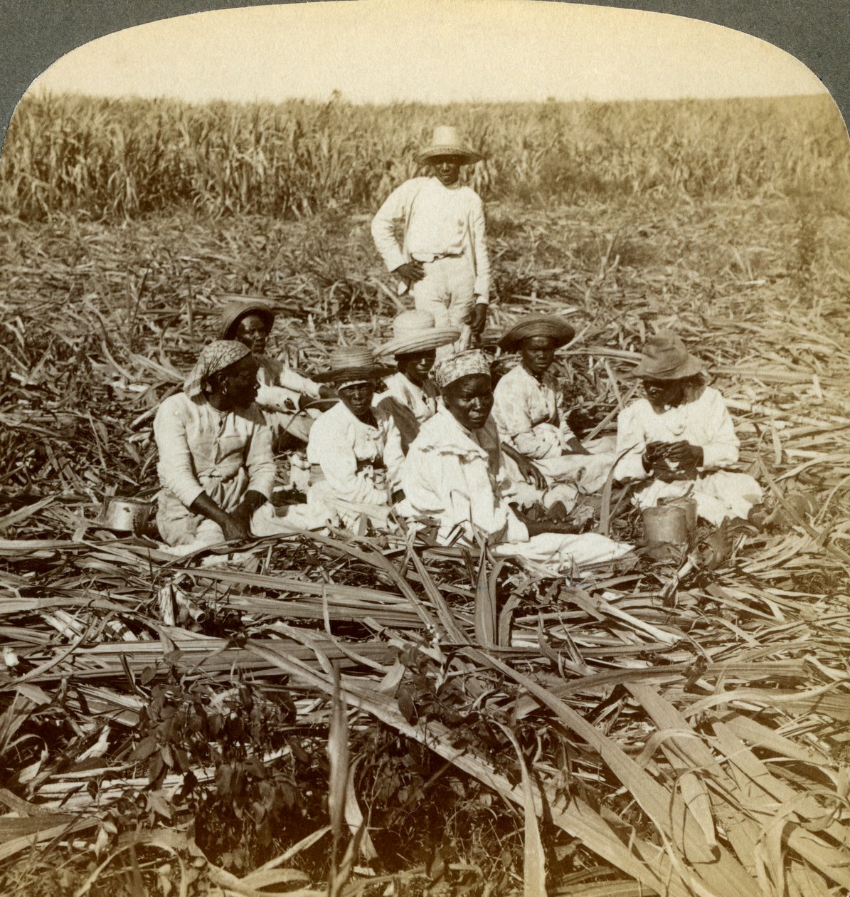 En la plantación de azúcar La Unión, San Luis, Provincia de Santiago, Cuba, 1899 de Underwood and Underwood