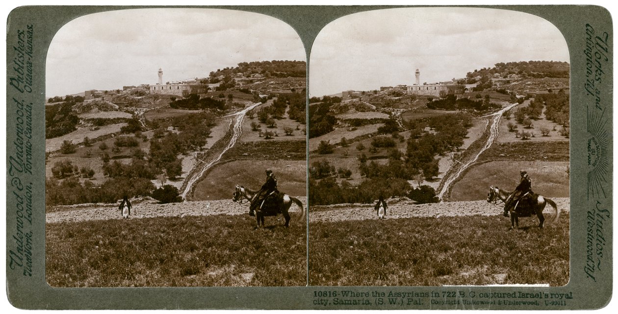 Samaria, suroeste de Palestina, 1900s de Underwood and Underwood