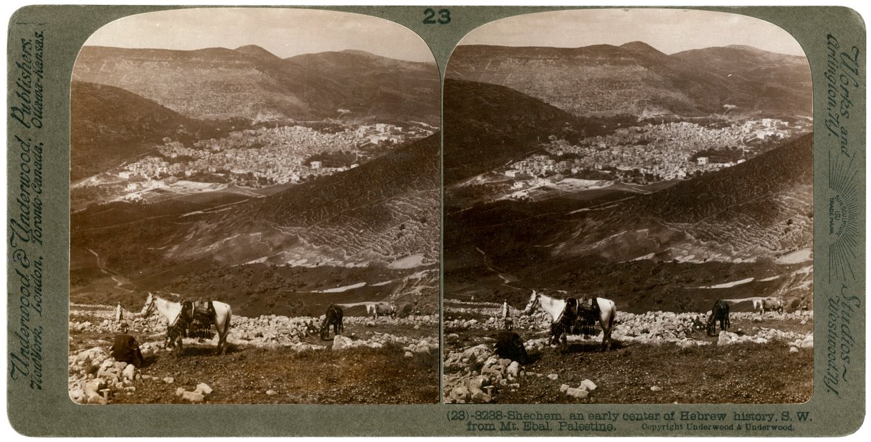 Siquem, suroeste desde el Monte Ebal, Palestina de Underwood and Underwood
