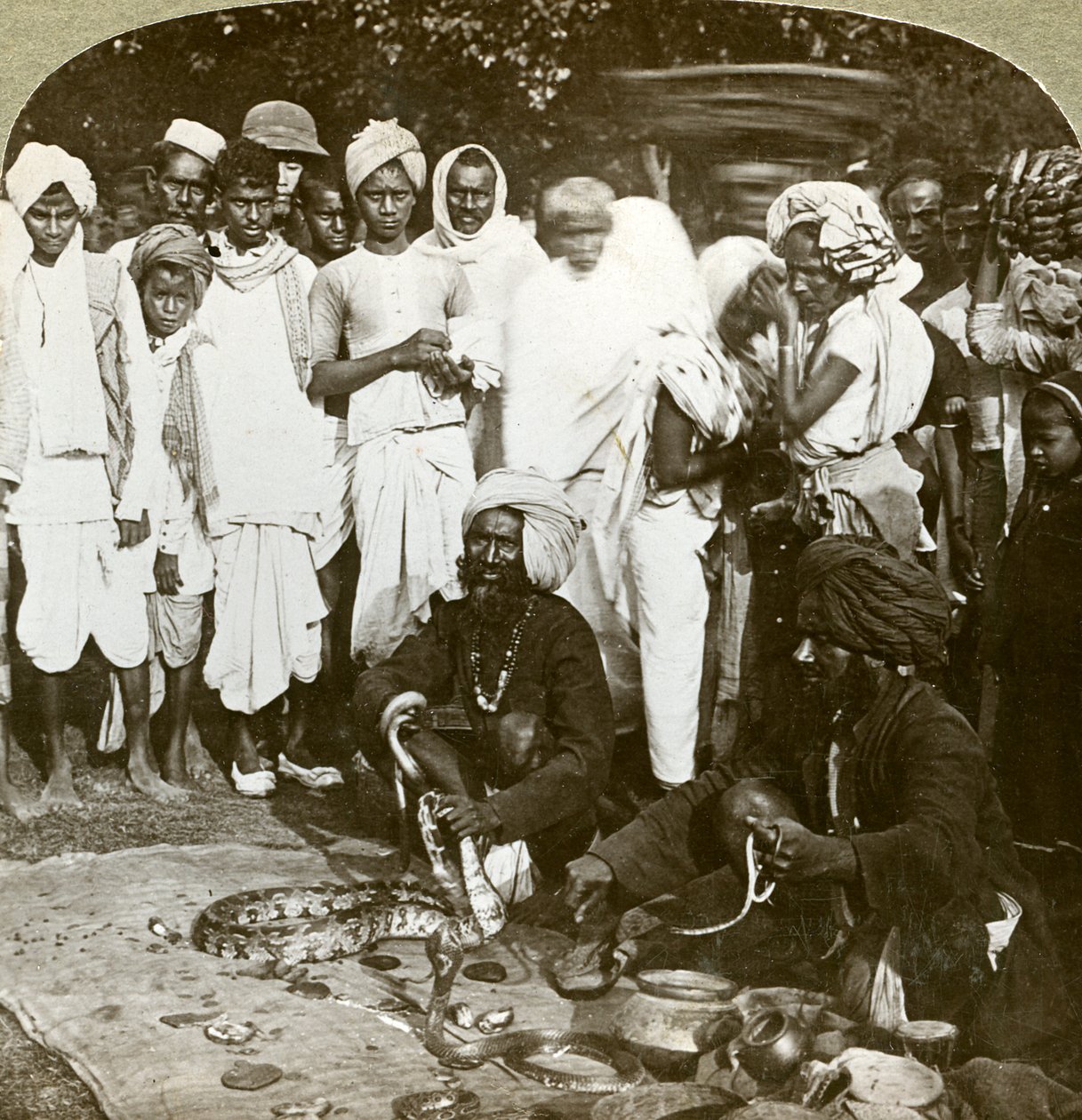 Encantador de serpientes, Calcuta, India de Underwood and Underwood