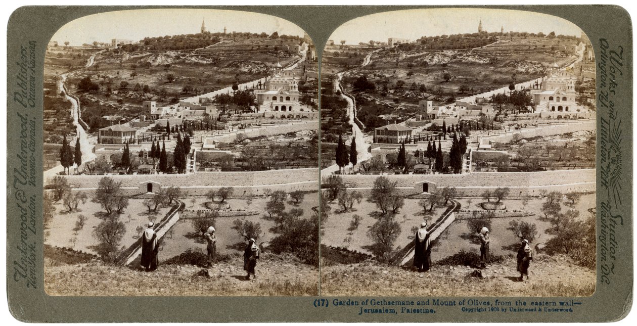 El Jardín de Getsemaní y el Monte de los Olivos, Palestina, 1908 de Underwood and Underwood