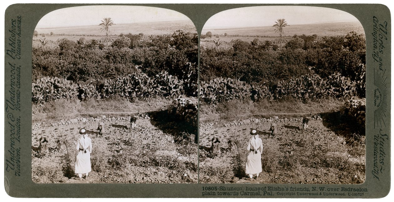 La vista noroeste desde Shunem, a través de la llanura de Esdraelon, hacia el Carmelo, 1900s de Underwood and Underwood