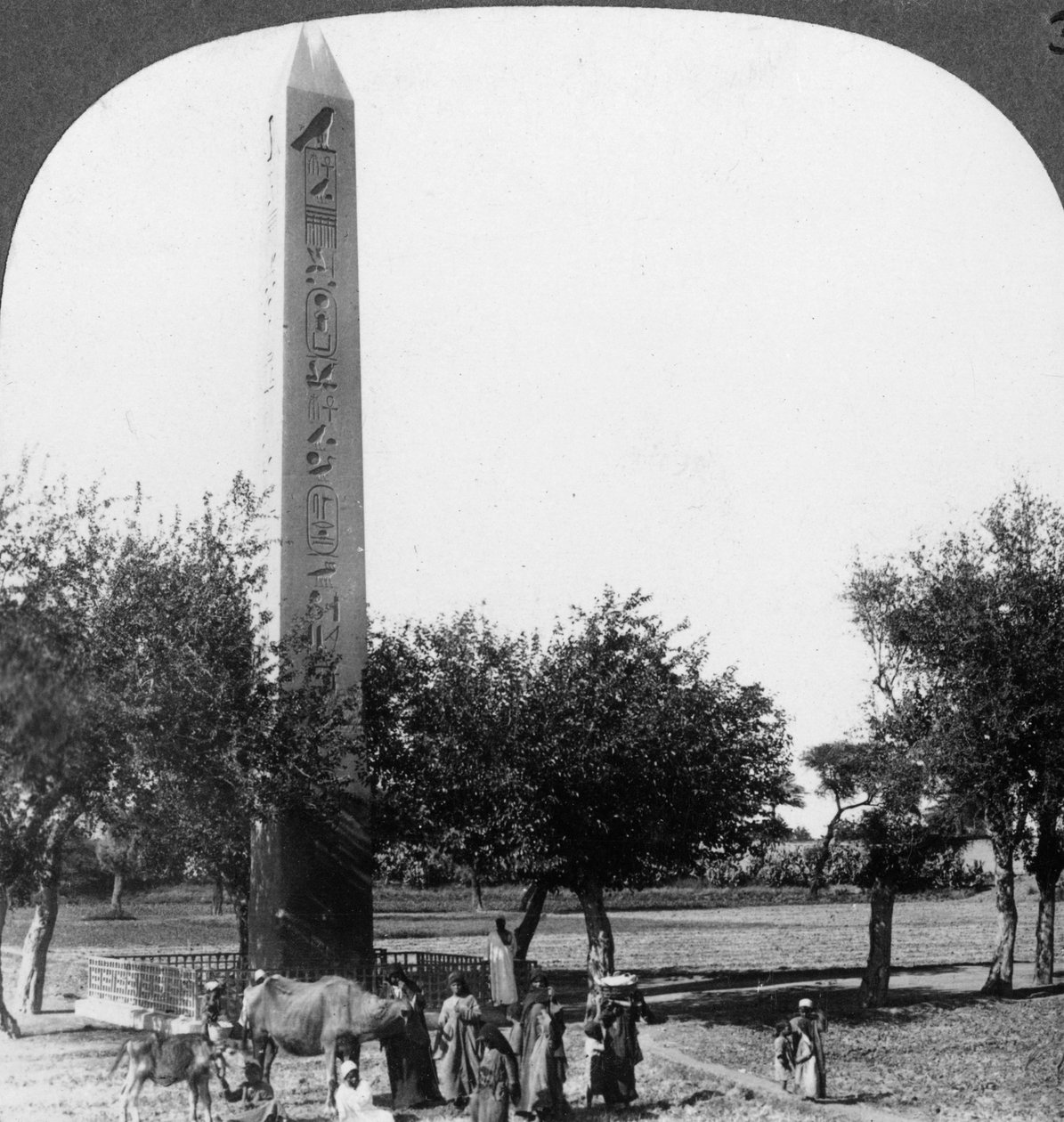 El obelisco de Heliópolis, Egipto, 1905 de Underwood and Underwood