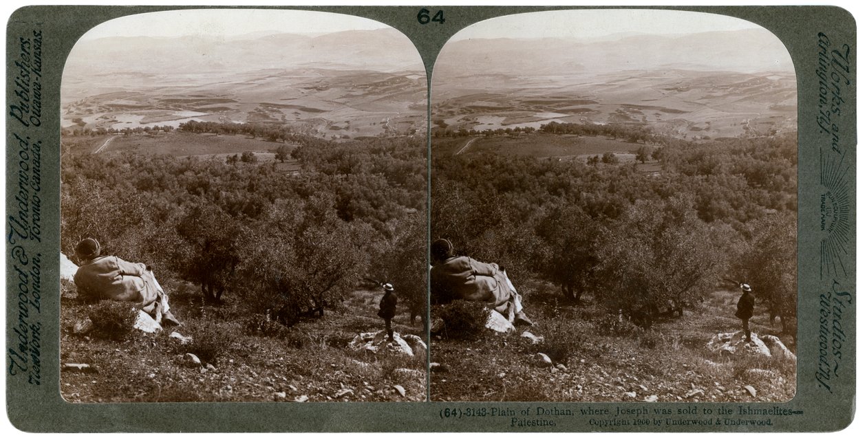 La llanura de Dotán, Palestina, 1900 de Underwood and Underwood
