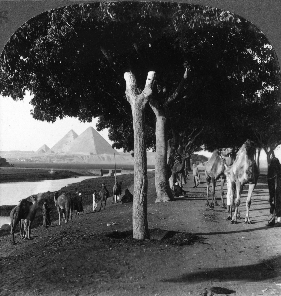 El camino a las pirámides, Giza, Egipto, 1905 de Underwood and Underwood