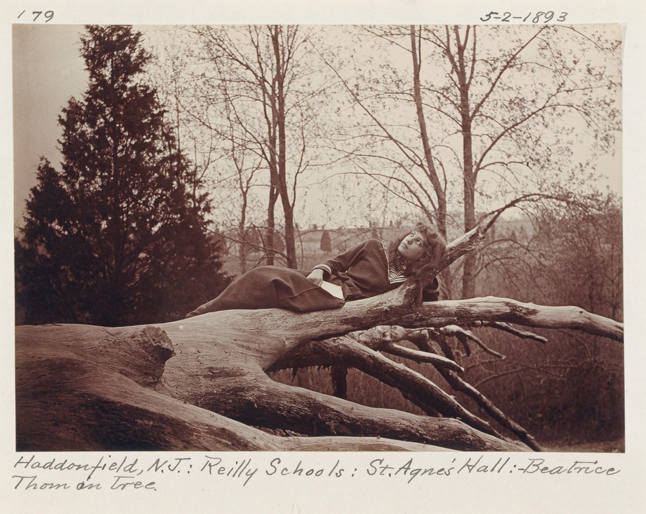 [Beatrice Thom en el árbol, Haddonfield, Nueva Jersey] de Unidentified